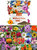 Bulk Wildflower Seeds Mix - 100,000+ Seeds, Attract Pollinators, All Zones Garden Plants