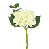 Vickerman 15" Plastic Short Stem Artificial Hydrangea in Cream (Set of 3) Hydrangea