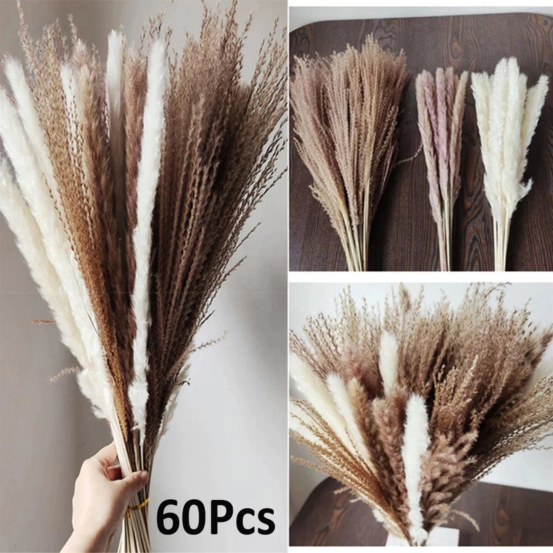 60PCS Natural Dried Pampas Grass Reed Flower Bunch DIY Flower Home Decor Supply Pampas Grass