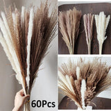 60PCS Natural Dried Pampas Grass Reed Flower Bunch DIY Flower Home Decor Supply Pampas Grass