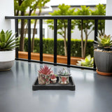 5 PCS Plant Saucers for Indoors Tray Flower Pot Drip Trays Garden Garden Plants