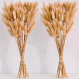 120 PCS Nature Dried Pampas Grass Decor, 17-inch Pompas Floral, Dry Brown Pampas Grass