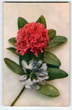 Tuck Postcard Hydrangea Blooms Pink Blue Flowers Gel Series 8190 Vintage Floral Hydrangea