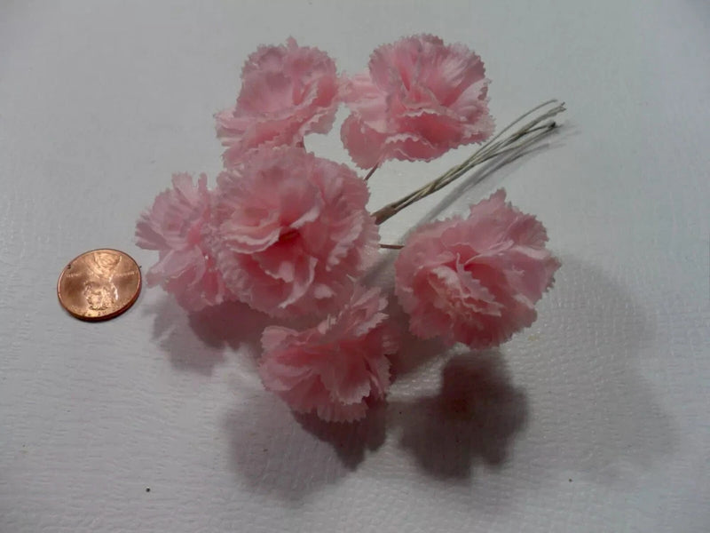 Small pink carnation bunch with several blooms and light stems