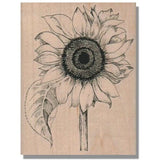Mounted Rubber Stamp, LG SUNFLOWER, Flowers, Plants, Nature, Garden, Leaf, Plant Sunflower