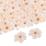 50pcs Artificial Daisies Flower Heads,1.8" Silk Fake Daisies Heads, Champagne Daisies