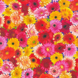 Fabric Flowers Gerberas Imaginings Cotton KAUFMAN 1/4 Yd SRKD-20916-193 Flowering Plants