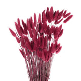 120pcs Natural Bunny Tails Dried Flowers 24" Mini Pampas Grass, Plum Purple Pampas Grass