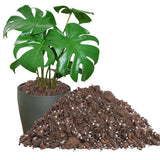 1.6QT Monstera Soil Potting Mix - Natural Organic Tropical Plant 1.6 Quarts Orchids