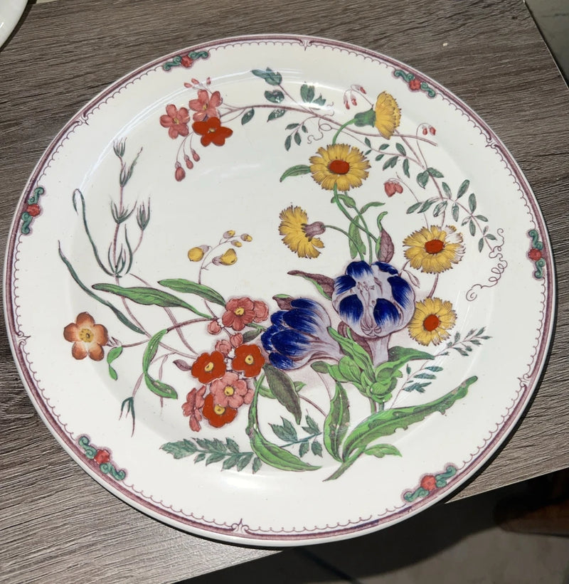 Wedgwood Etruria Ranunculus Floral Pattern 9 1/8 inch Luncheon Plate Ranunculus