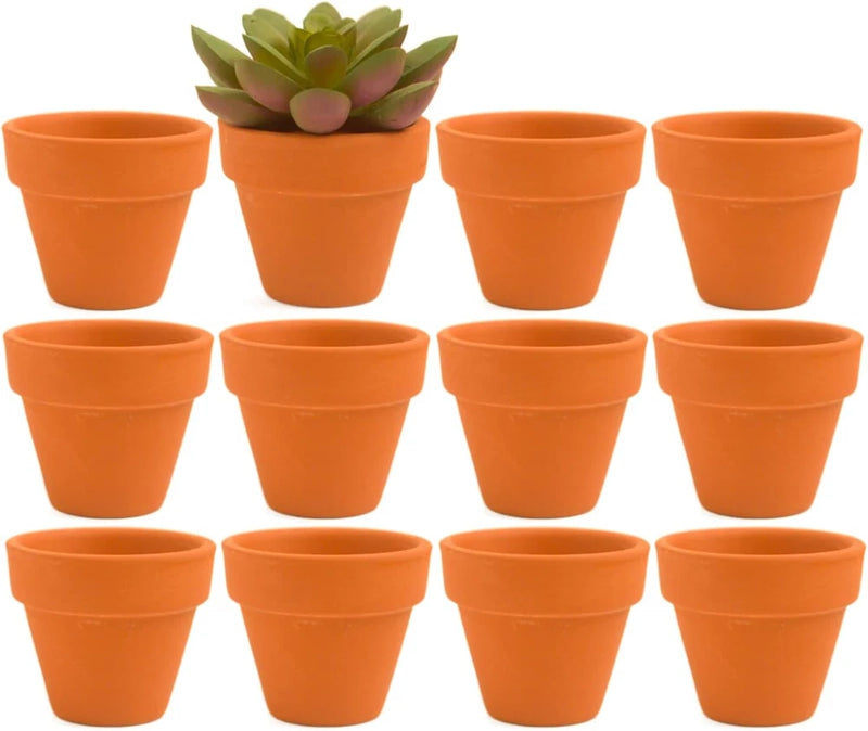 Mini Terracotta Clay Flower Pots 2 inch with Drainage Holes for for Tiny Cactus Garden Plants