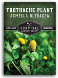 Toothache Plant Seeds for Planting - Acmella Oleracea Spilanthes Buzz Button ... Garden Plants