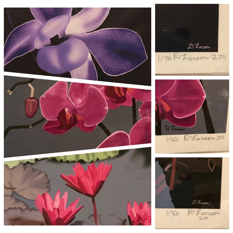 Flower Signed Art  Certified 1/50  3pc Orchids Water Lilies Garden D Larson 2011 Lily
