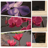Flower Signed Art  Certified 1/50  3pc Orchids Water Lilies Garden D Larson 2011 Lily
