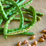 Black Eye Peas 50 Seeds Garden Planting Non-GMO Garden Plants