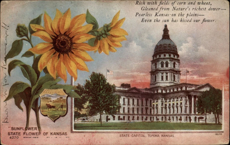 Topeka KS State Capitol dome Sunflower state flower mailed 1909 vintage postcard Sunflower