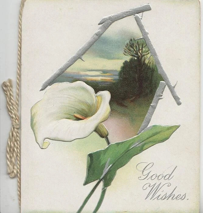 GOOD WISHES, calla lily flower, rural inset, Tuck Easter card, circa 1910 Lily