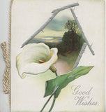 GOOD WISHES, calla lily flower, rural inset, Tuck Easter card, circa 1910 Lily