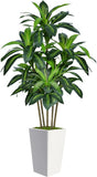 6FT Artificial Dracaena Tree, Fake Tree Indoor with White Tall Planter,Tall Arti Green Plant