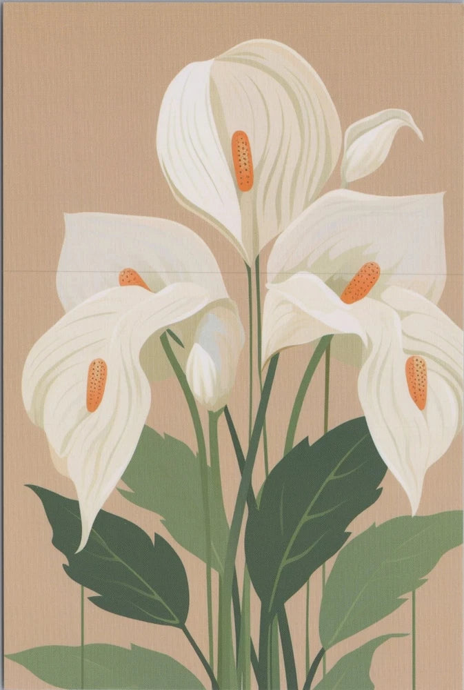 Elegant White Calla Lily Flower Art 4x6 Image Card Blank Back PC UNP NEW Lily