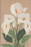 Elegant White Calla Lily Flower Art 4x6 Image Card Blank Back PC UNP NEW Lily