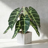 Artificial Potted Plant, Lifelike Faux Greenery in Decorative Cement-Look Squ... Green Plant