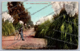 Antique Postcard Pampas Grass In California man bicycle Pampas Grass