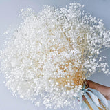 Dried Baby's Breath Flowers Bouquet - 3500+ Ivory White Dry Dried Flower
