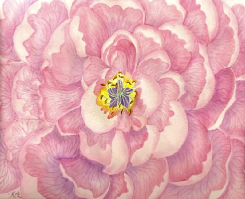 Peony watercolor flower print with pink/purple petals, yellow center, white mat