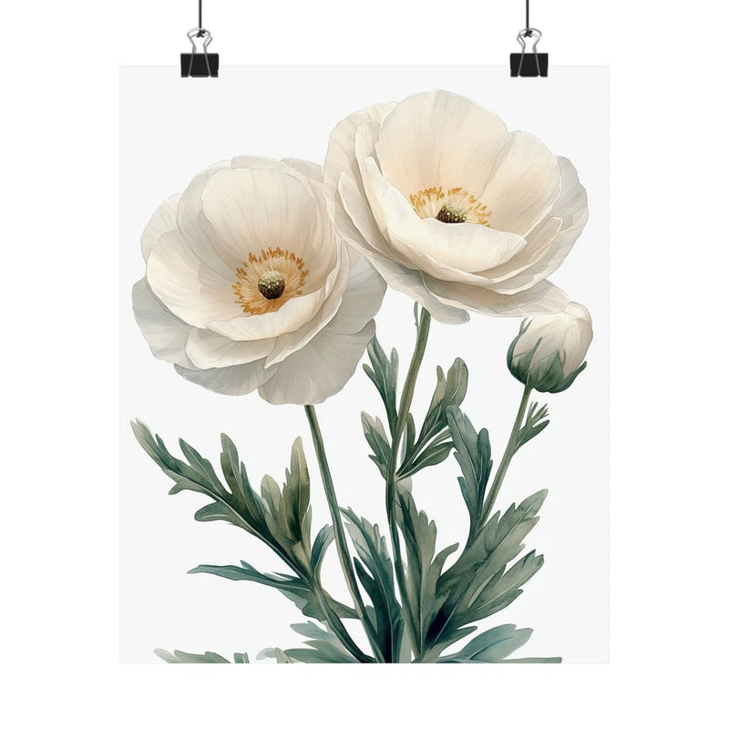 Boho White Ranunculus Flower Art Print Poster, Minimalist Floral Wall Art 2 Ranunculus