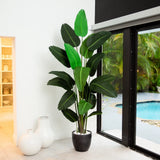 8Õ Artificial Travelers Palm Tree Home Office Decor (Real Touch). Retail $459 Green Plant