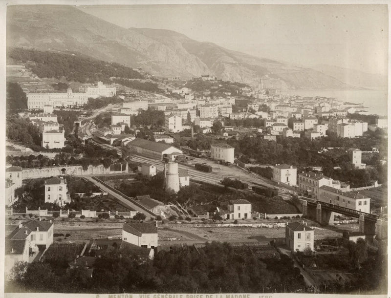 c.1880's PHOTO FRANCE MENTON GENERAL VIEW/PAMPAS GRASS Pampas Grass