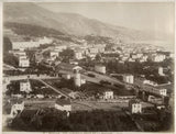 c.1880's PHOTO FRANCE MENTON GENERAL VIEW/PAMPAS GRASS Pampas Grass