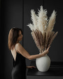 Dried Pampas Grass Decor Tall - Total 15 Stems - 3 Stems 41Ó Beige Large Pampas Pampas Grass