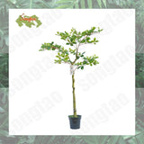 4.2Ft Tall Fake Potted Tree Silk Faux Tree Plants for Home Office Indoor Decor Green Plant