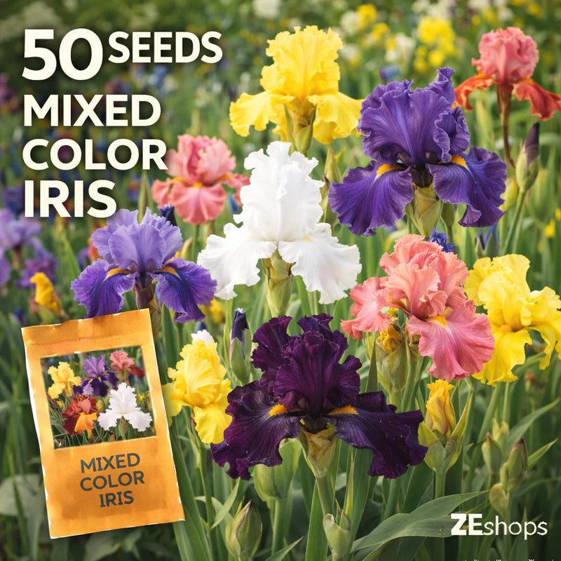 50 Mixed Color Iris Seeds Hardy Perennial Garden Flower Variety Garden Plants