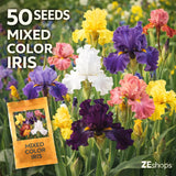 50 Mixed Color Iris Seeds Hardy Perennial Garden Flower Variety Garden Plants