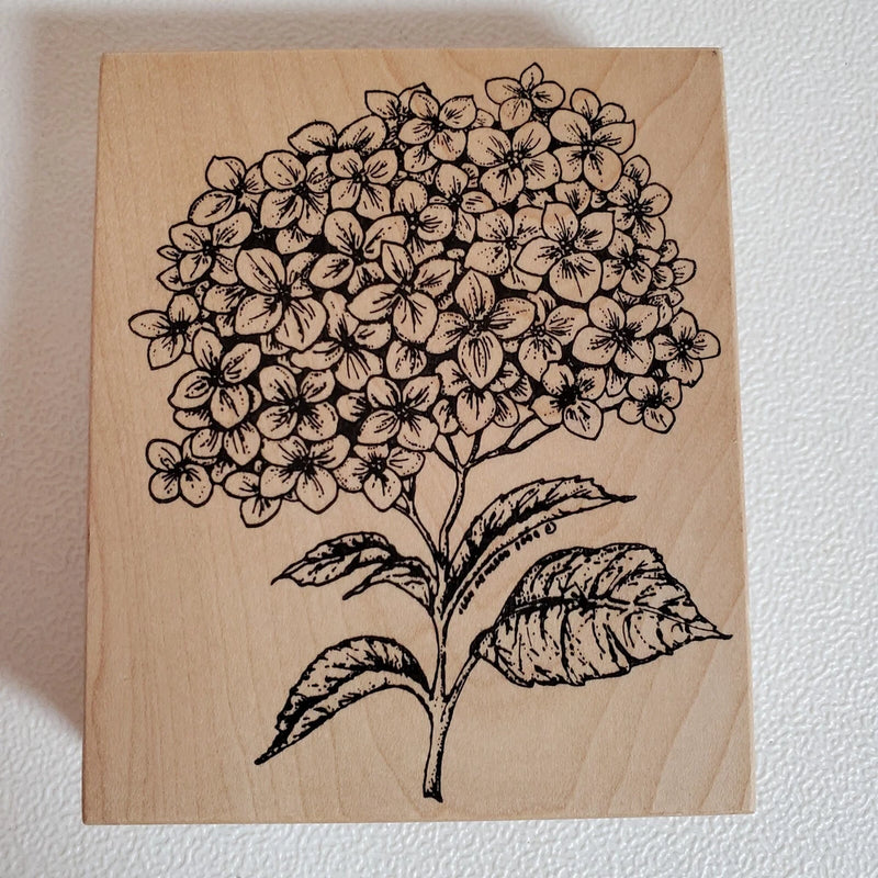 NORTHWOODS Hydrangea Blossom Wood Mounted Rubber Stamp 2005 EUC Hydrangea