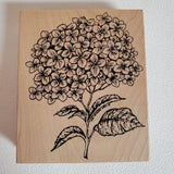 NORTHWOODS Hydrangea Blossom Wood Mounted Rubber Stamp 2005 EUC Hydrangea