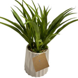 Faux Fake Green Spike Plant Decor White Minimalistic Ceramic Pot WP66Q Green Plant