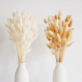 100 PCS Bunny Tails Dried Flowers, Dried Pampas Grass Bouquet, Boho Table Decor, Pampas Grass