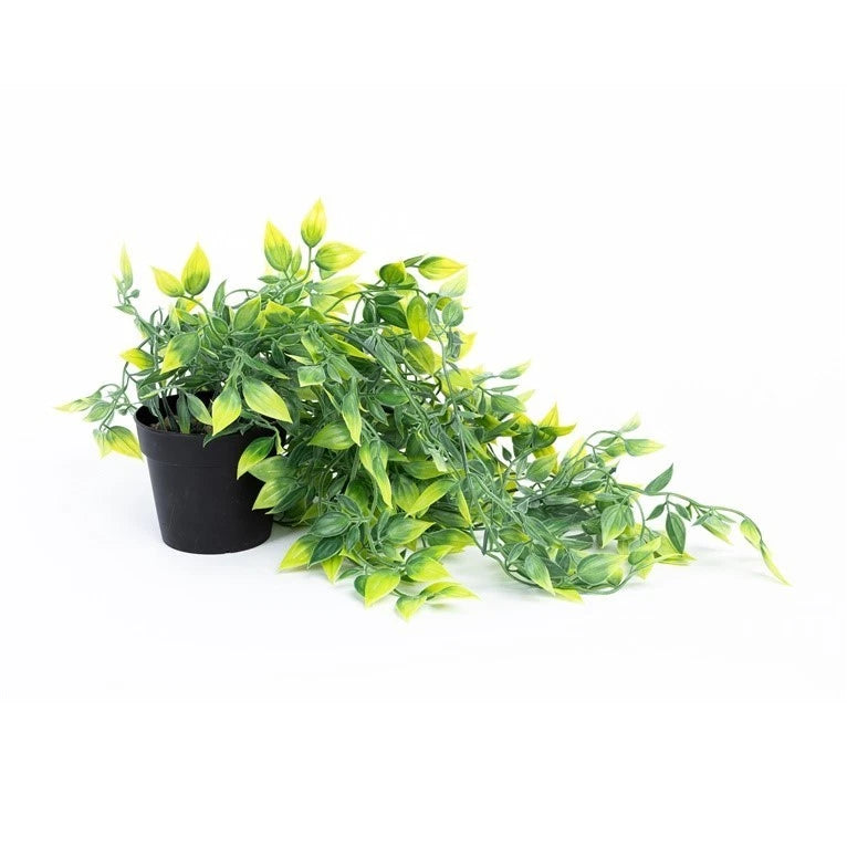 Artificial Plant Domoletti, Green, 95 Cm Green Plant