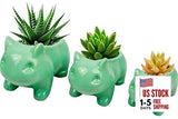 3 Pack Succulent Plant Pots, Ceramic Planters Mini Cute Animal Planters for Garden Plants
