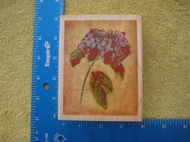 SN10295 PAPER INSPIRATIONS RUBBER STAMP Hydrangea Fresco 4.75"x3.75" Hydrangea