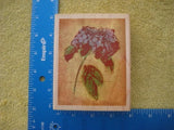 SN10295 PAPER INSPIRATIONS RUBBER STAMP Hydrangea Fresco 4.75"x3.75" Hydrangea