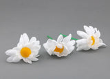 3pcs White Daisy Flower for 18'' Place Doll Cafe Green Flower Pot Cup Daisies