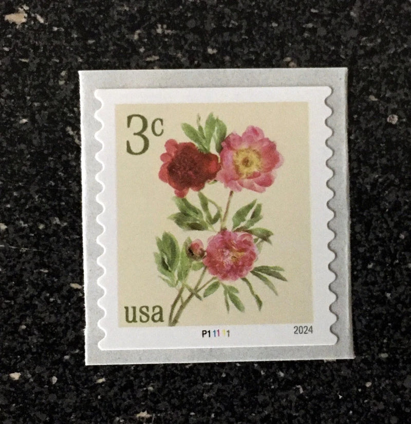 2024USA #5904 3c Peonies - Plate Number Coil Single - PNC Mint flowers Peony