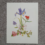 Iris Carnation Botanical Garden Flower Vintage Book Print Kitchen Wall Art Carnation