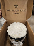 The Million Roses Los Angeles - 18 WHITE ROSES - PLEASE READ DESCRIPTION! Roses