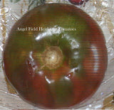 20 Pierce's Pride Purple Heirloom Tomato Seeds " Plus 2 Packs of Vegetable Seeds Garden Plants